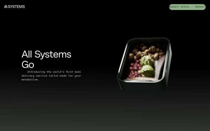 System website preview