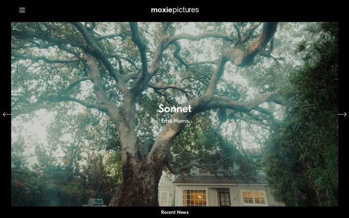 Moxiepictures website preview