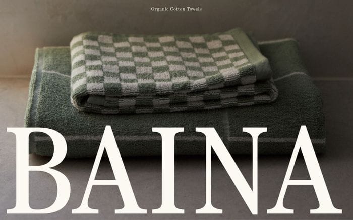 Baina website preview