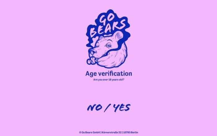 Gobears website preview