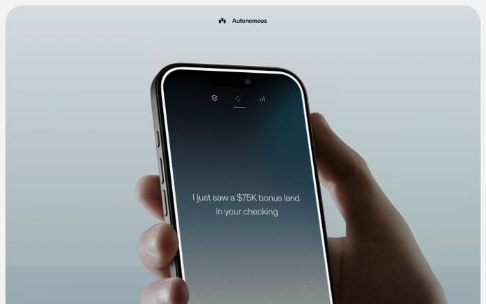Autonomous website preview