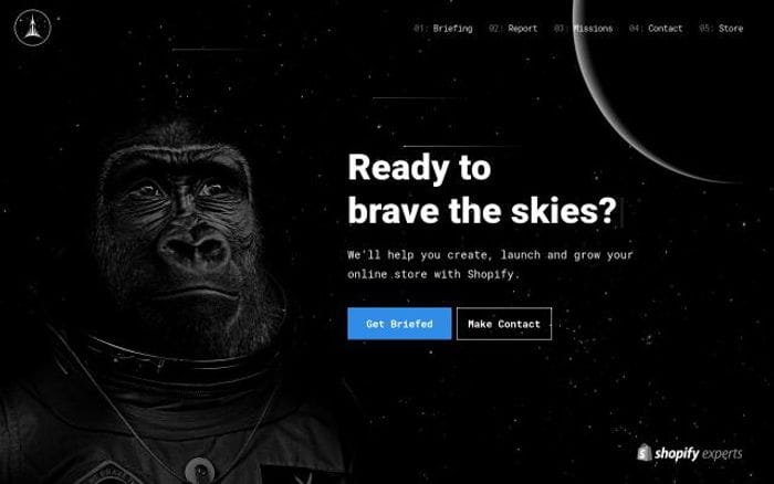 Bravetheskies website preview