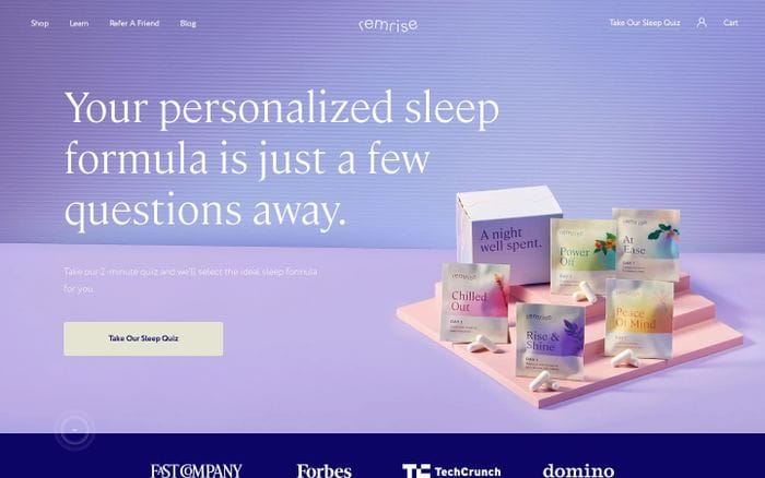 Remrise website preview