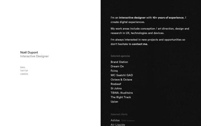 Noeldupont website preview