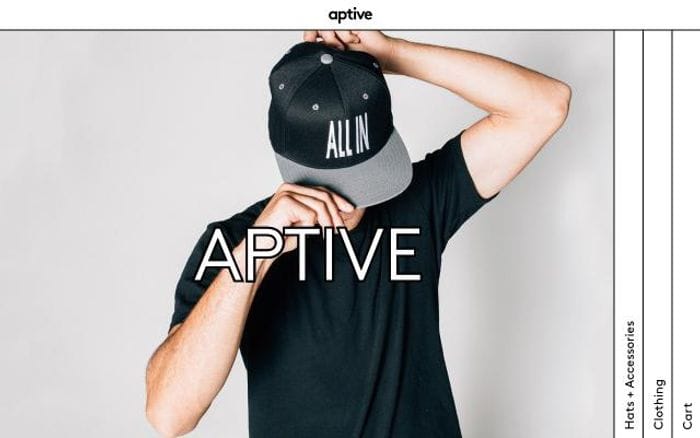 Aptivestore website preview