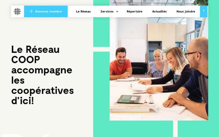 Reseau website preview