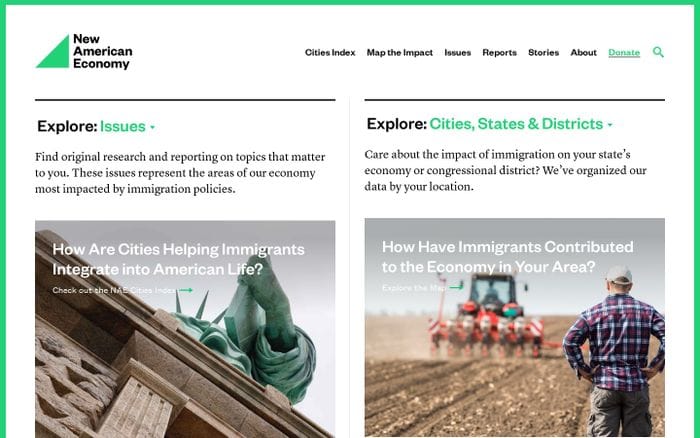  New American Economy website preview