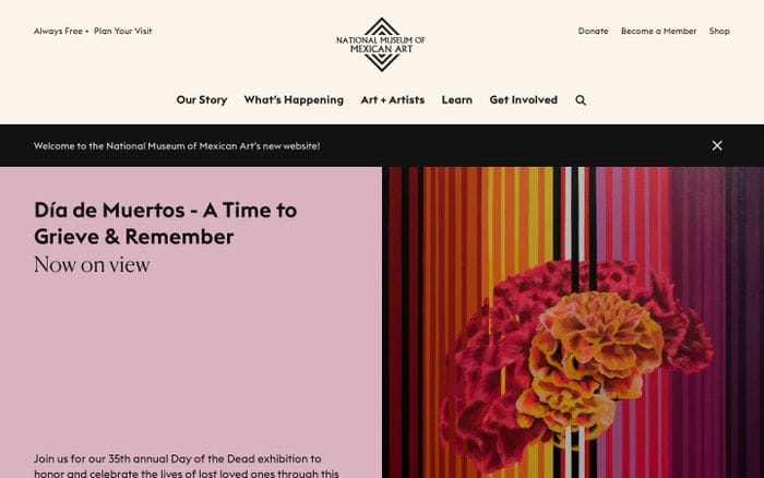 National Museum of Mexican Art website preview