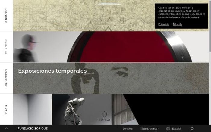 Fundaciosorigue website preview