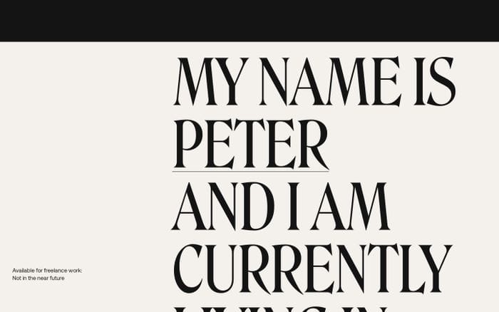Peter Demulsant website preview