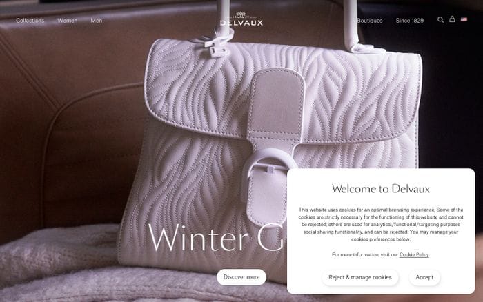 Delvaux website preview