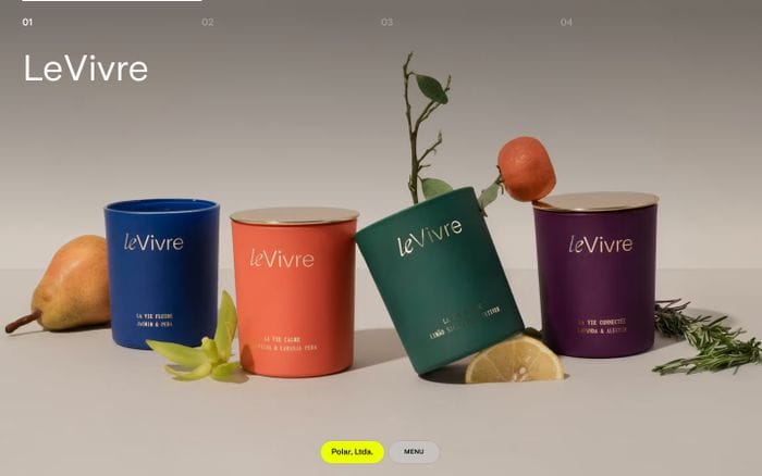 Polar, Ltda website preview