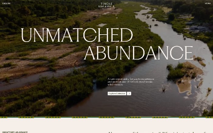 Tengile MalaMala Collection website preview