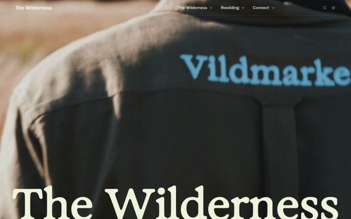 The Wilderness website preview