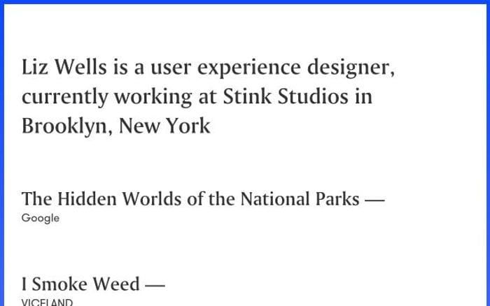 Lizvwells website preview