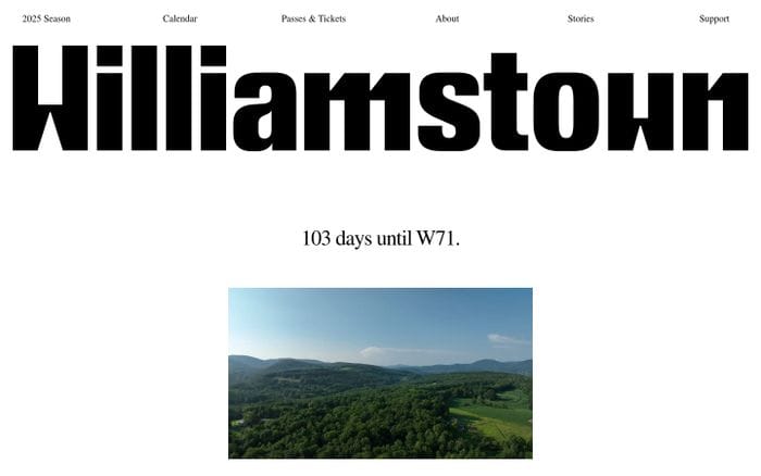 Williamstown Theatre Festival website preview