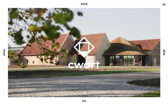Cwart website preview