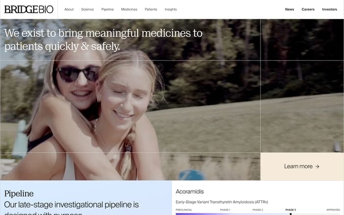 Bridge Bio website preview