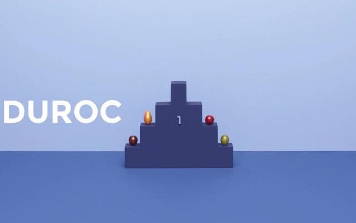 Duroc website preview
