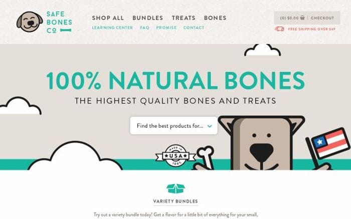 Safebones website preview