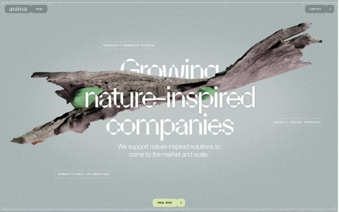 Anima website preview