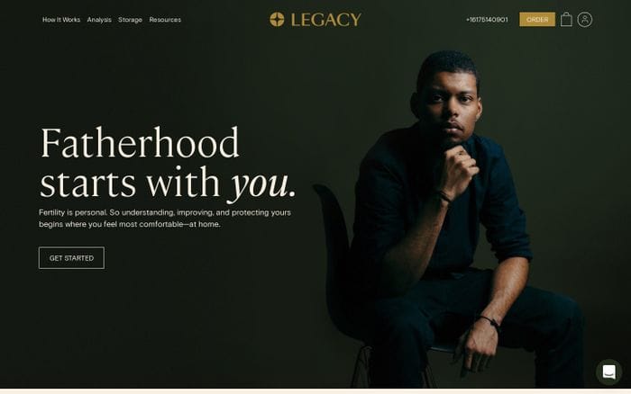 Legacy website preview