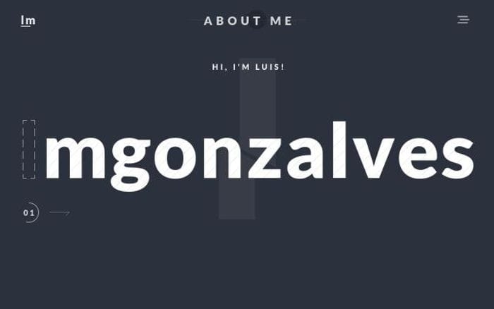 Lmgonzalves website preview