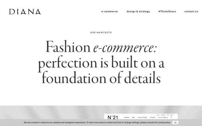 Dianacorp website preview