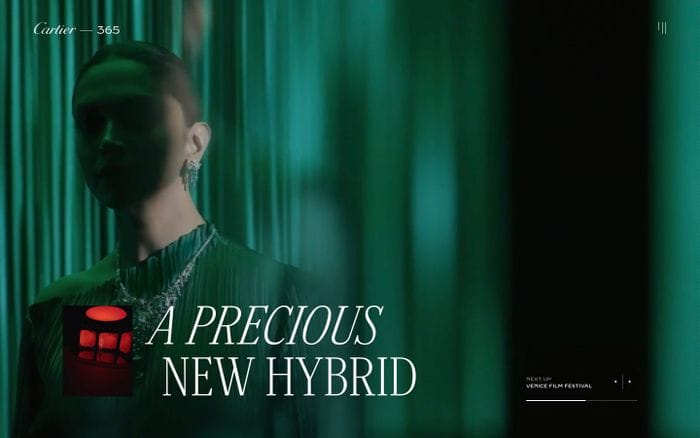 365 A Year of Cartier website preview