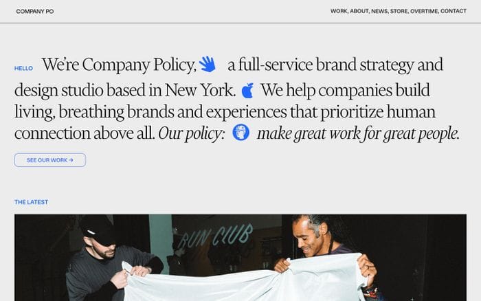 Company Policy website preview
