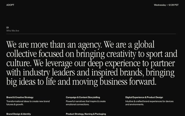 Adopt website preview