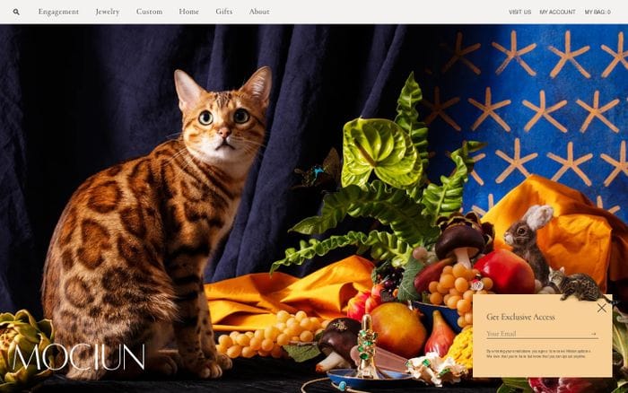 Mociun website preview