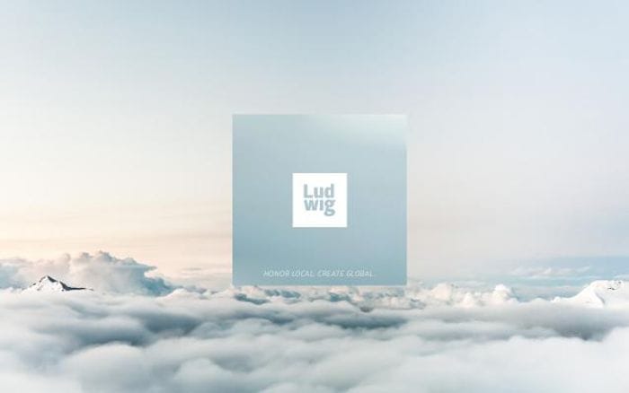 Weareludwig website preview