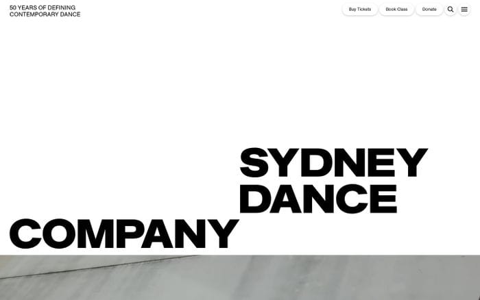 Sydney Dance Company website preview
