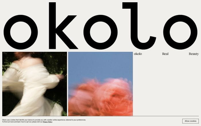 Okolo website preview