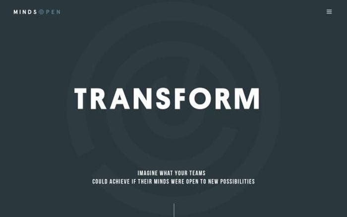 Mindsopen website preview