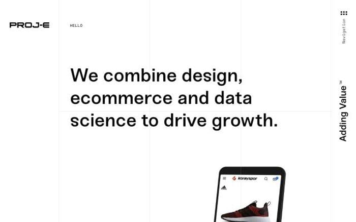 Proj-e website preview
