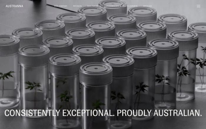 Austranna website preview