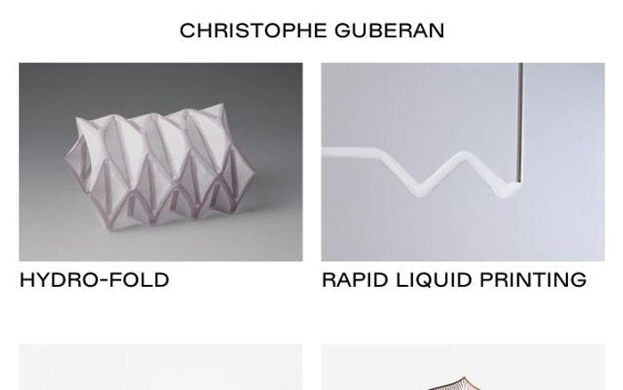Christopheguberan website preview