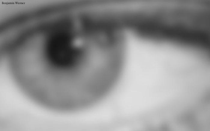 Benjamin-werner website preview