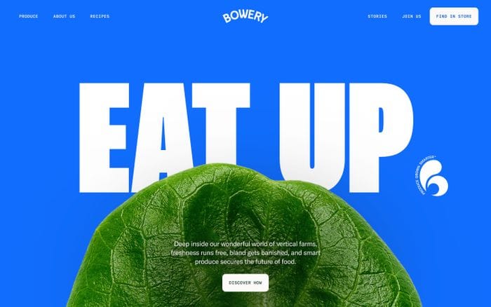 Bowery website preview