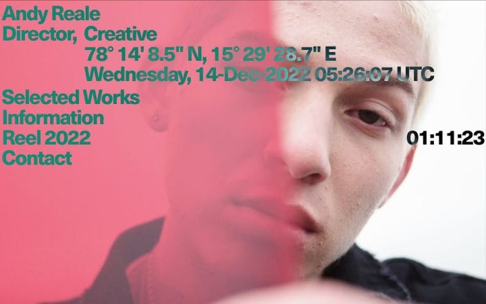 Andy Reale website preview