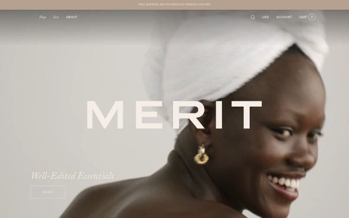 Merit website preview
