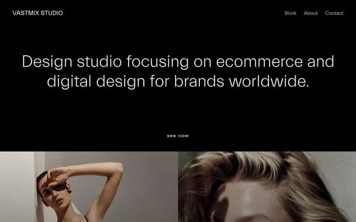 Vastmix website preview