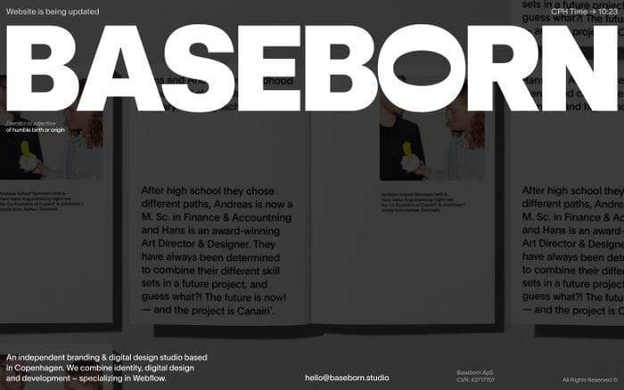 Baseborn website preview