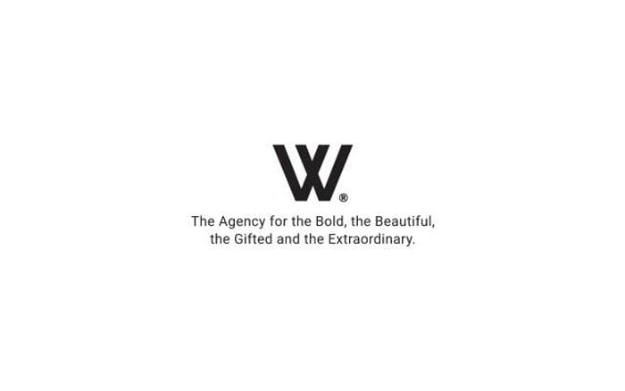 Wmodel website preview