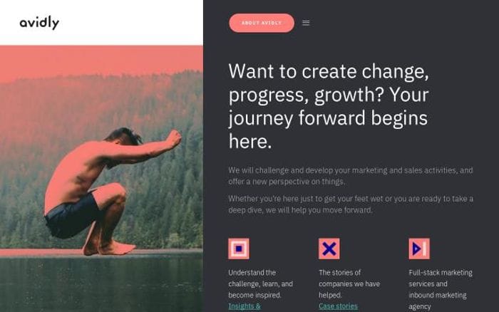 Avidlyagency website preview