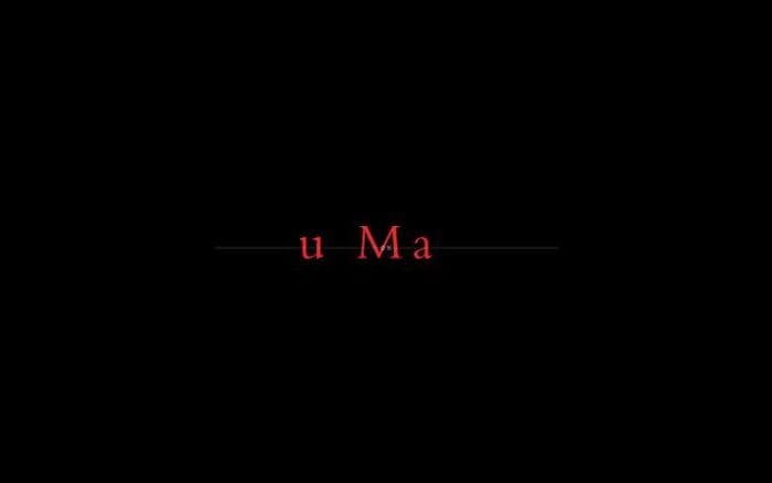 Accademiadellusso website preview