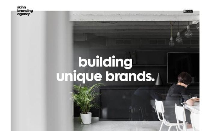 Skinn website preview