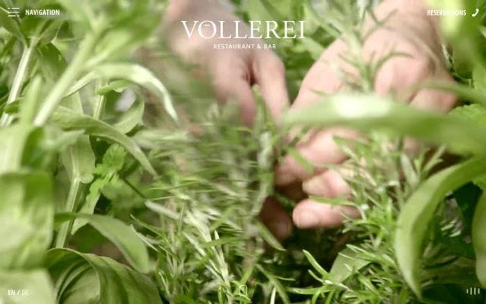 Voellerei website preview